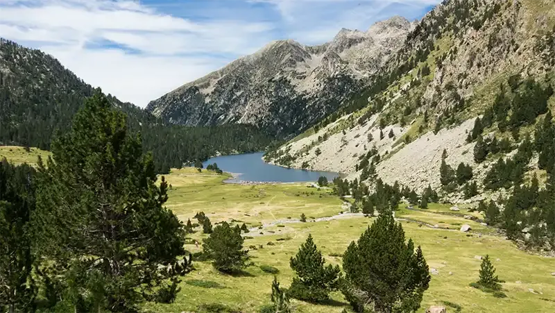 Pyrénées Printemps MER, MONTAGNE OU CAMPAGNE