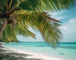 Martinique vue de plage magnifique