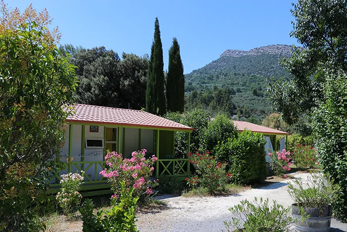 Bungalow De Bois 4 Et 6 Peronnes Au Camping Familial De Buis Les Baronnies En Drome Provençale