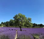 Vacances à la campagne