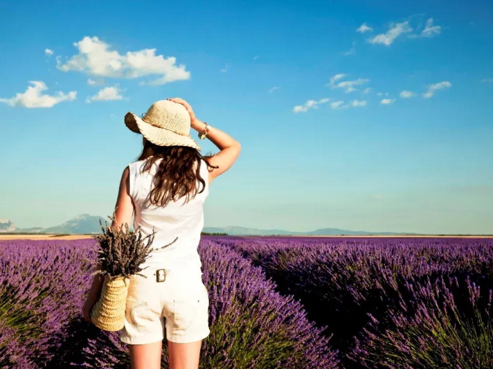 Séjours bleus 2025 – La Fontaine d’Annibal