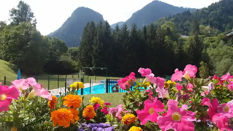 vue de fleurs l’Isle d’Aulps