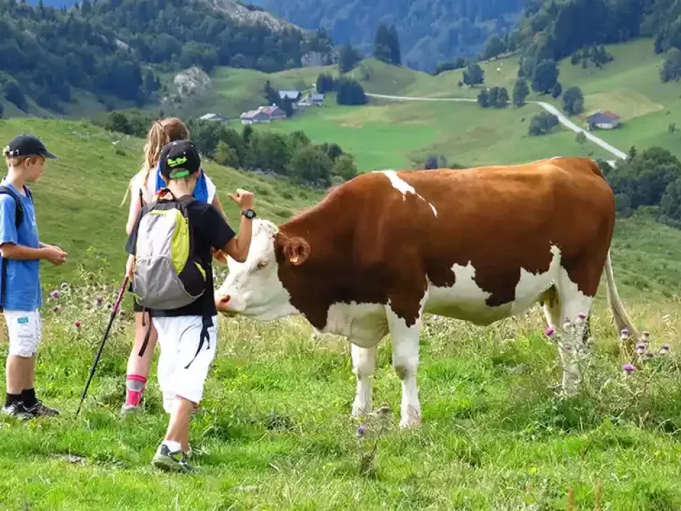 Partez à la découverte de la vallée d’Aulps et de ses panoramas exceptionnels
