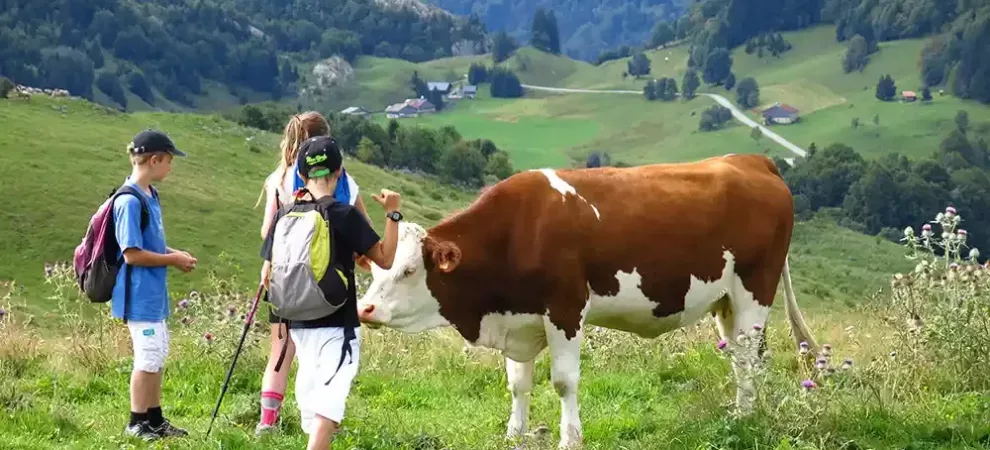 Partez à la découverte de la vallée d’Aulps et de ses panoramas exceptionnels
