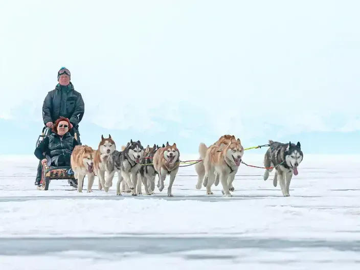 Sorties en chiens de traîneaux