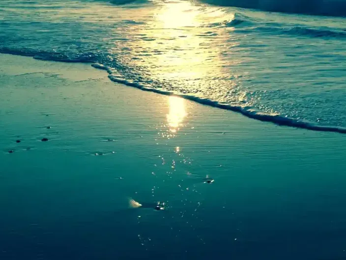 Idées de vacances en bord de mer