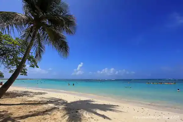 GUADELOUPE RESIDENCE TROPICALE – Le Moule