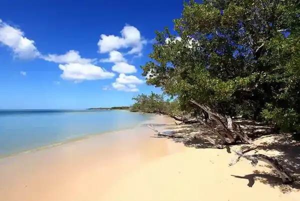 GUADELOUPE RESIDENCE TROPICALE – Le Moule