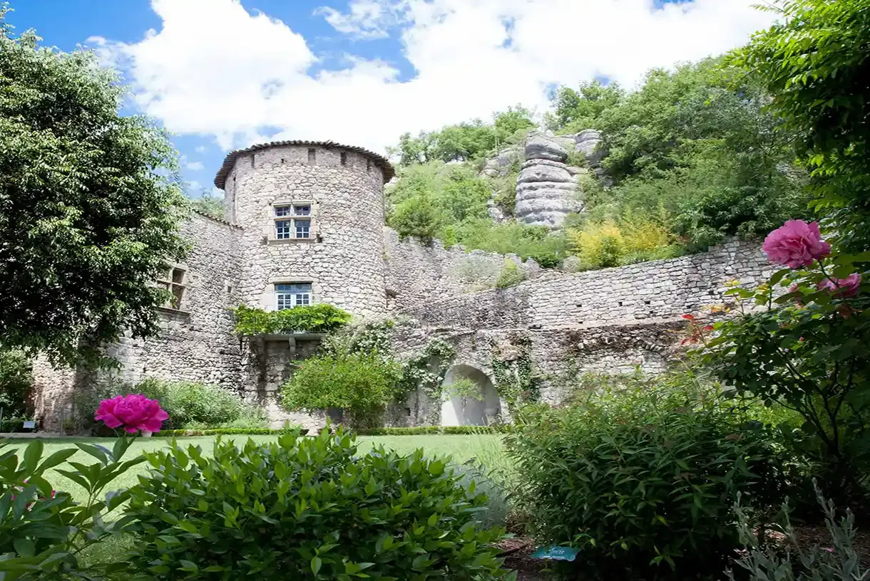 Chateau De Vogue Jardin