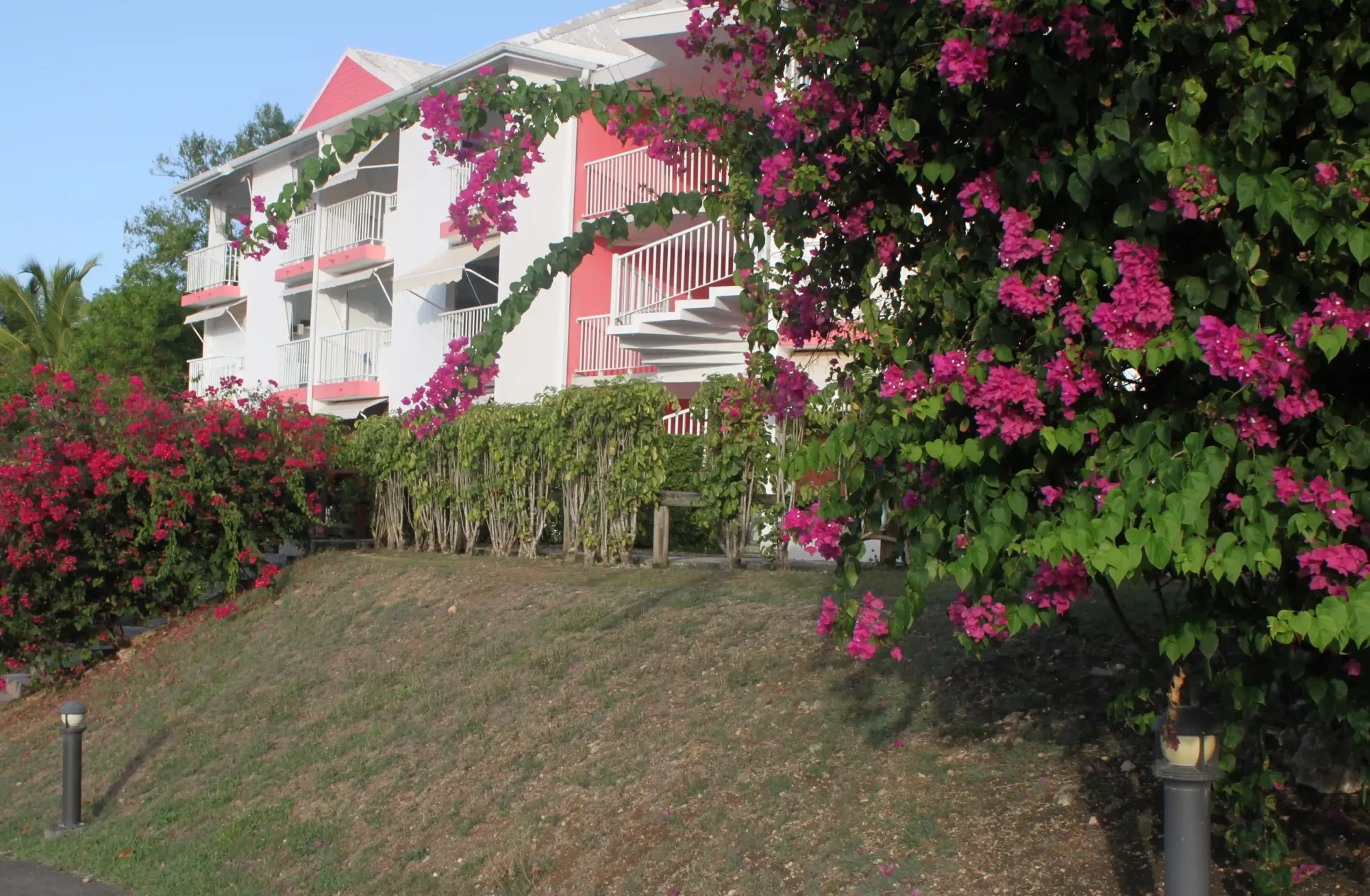 Résidence Tropicale - Le Moule