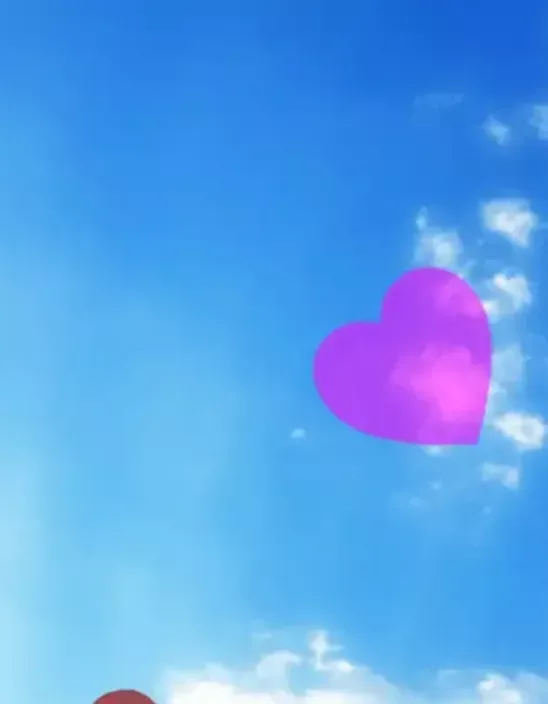 ❤ Nos coups de cœur ❤