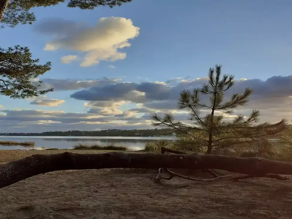 Les Voix de l’Océan