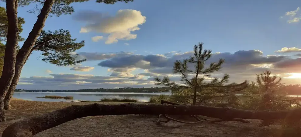 Les Voix de l’Océan