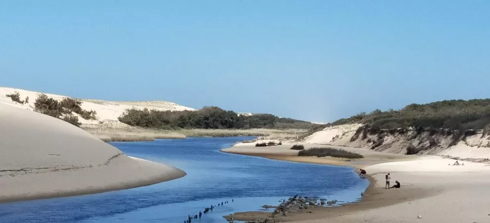 Séjours bleus 2025 – Destination côte sud des Landes et Pays Basque