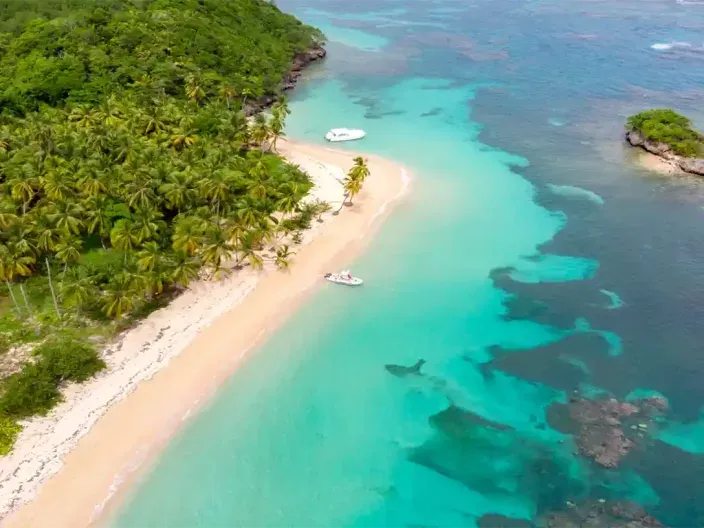 Résidence Tropicale – Le Moule