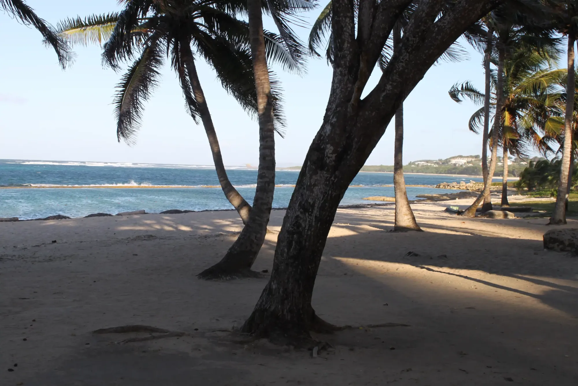 GUADELOUPE RESIDENCE TROPICALE – Le Moule