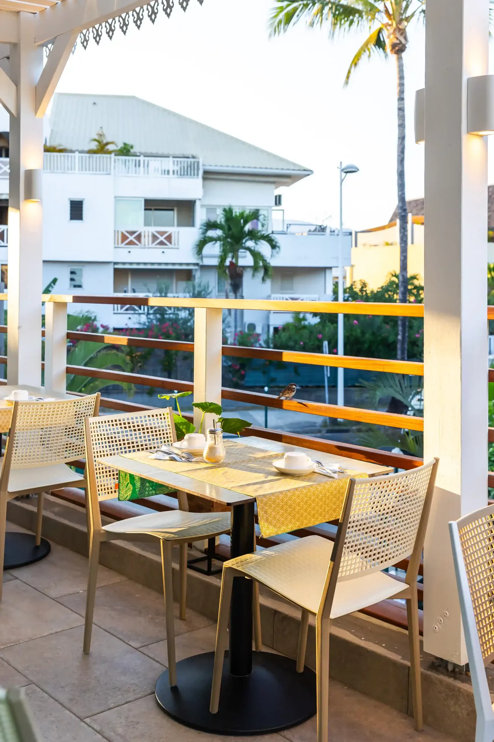 TAH 230822 NewTropicAppartHotel YAH 010