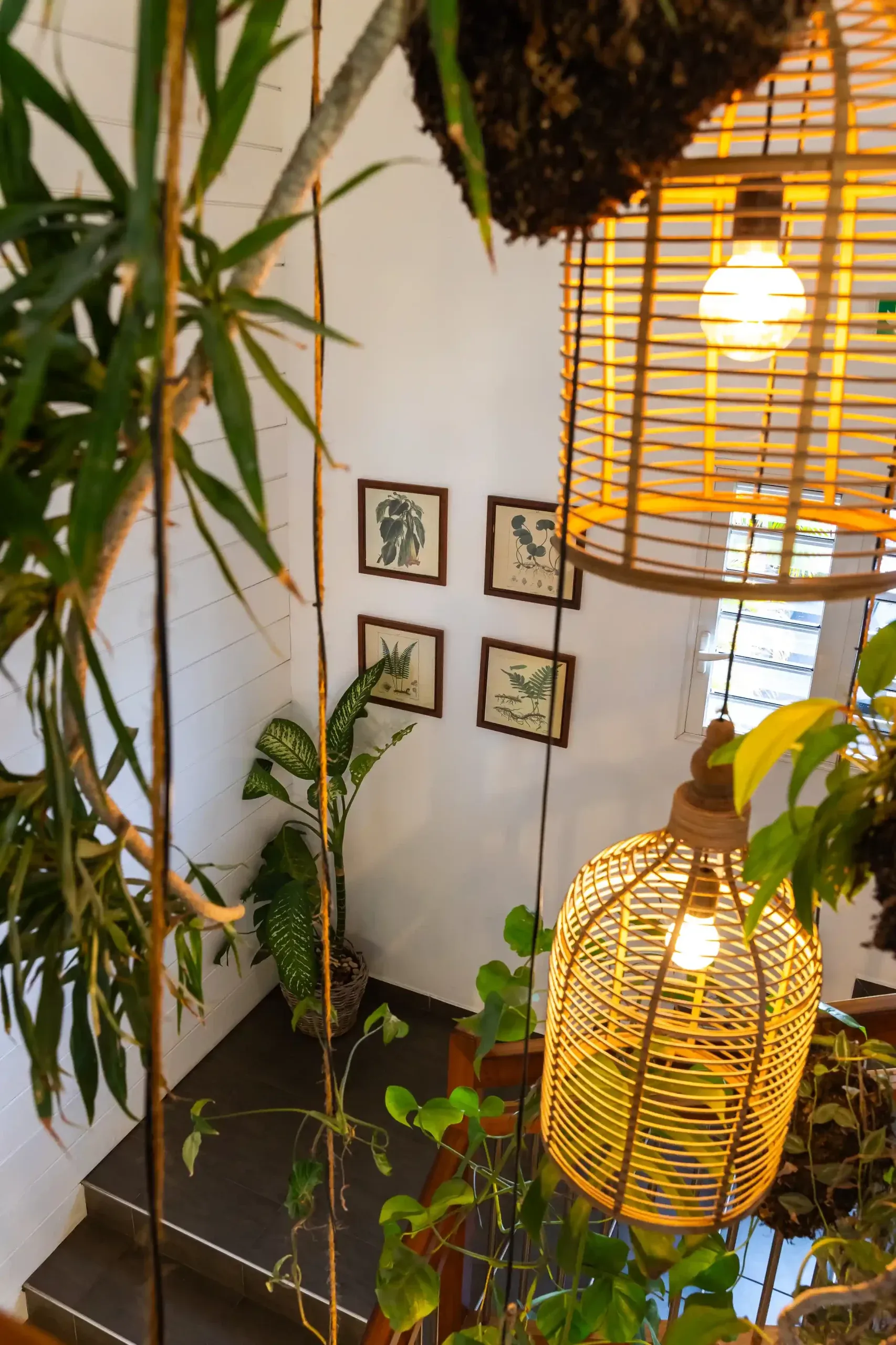 TAH 230822 NewTropicAppartHotel YAH 019