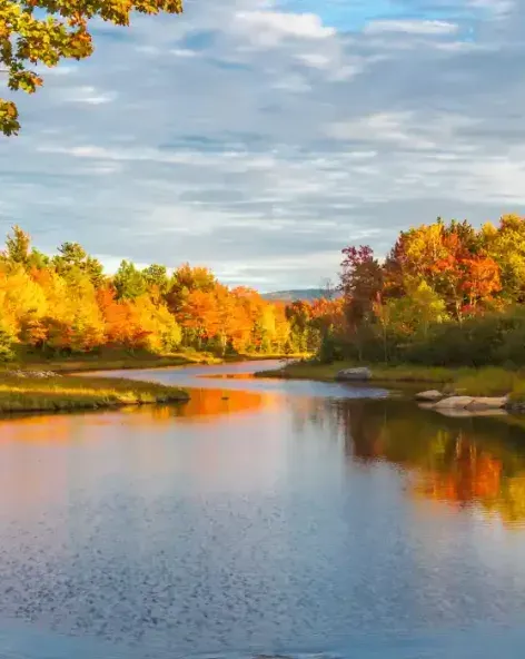 Vacances de la Toussaint