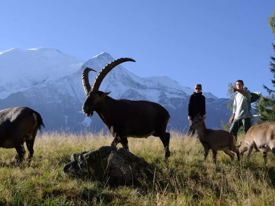 Vacances de Toussaint aux Carroz d’Arâches : votre séjour à la montagne