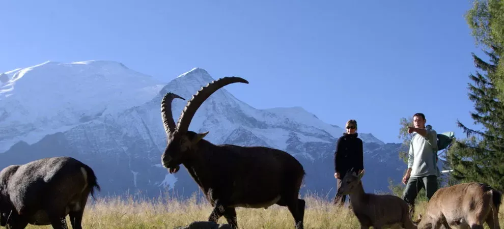 Vacances de Toussaint aux Carroz d’Arâches : votre séjour à la montagne