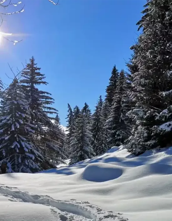 Plateau Des Glieres Vu Exceptionnel