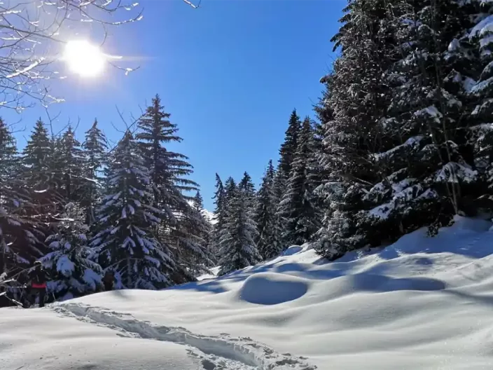 Le plateau des Glières