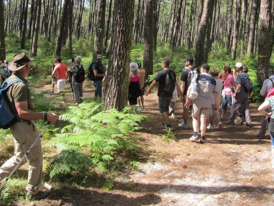 Randonnées à la découverte des Landes et du Pays Basque