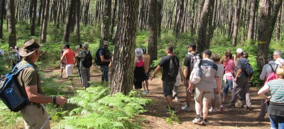 Randonnées à la découverte des Landes et du Pays Basque