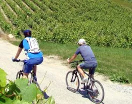 Balade en VTT près du vignoble de Saint André