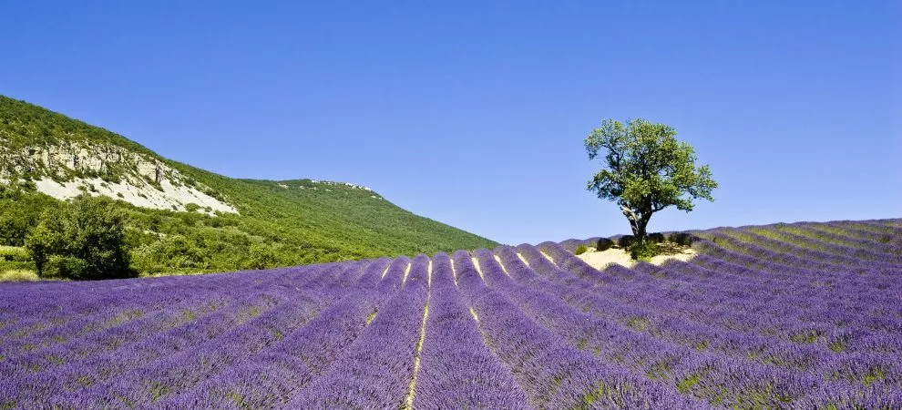 Découvertes des Baronnies provençales
