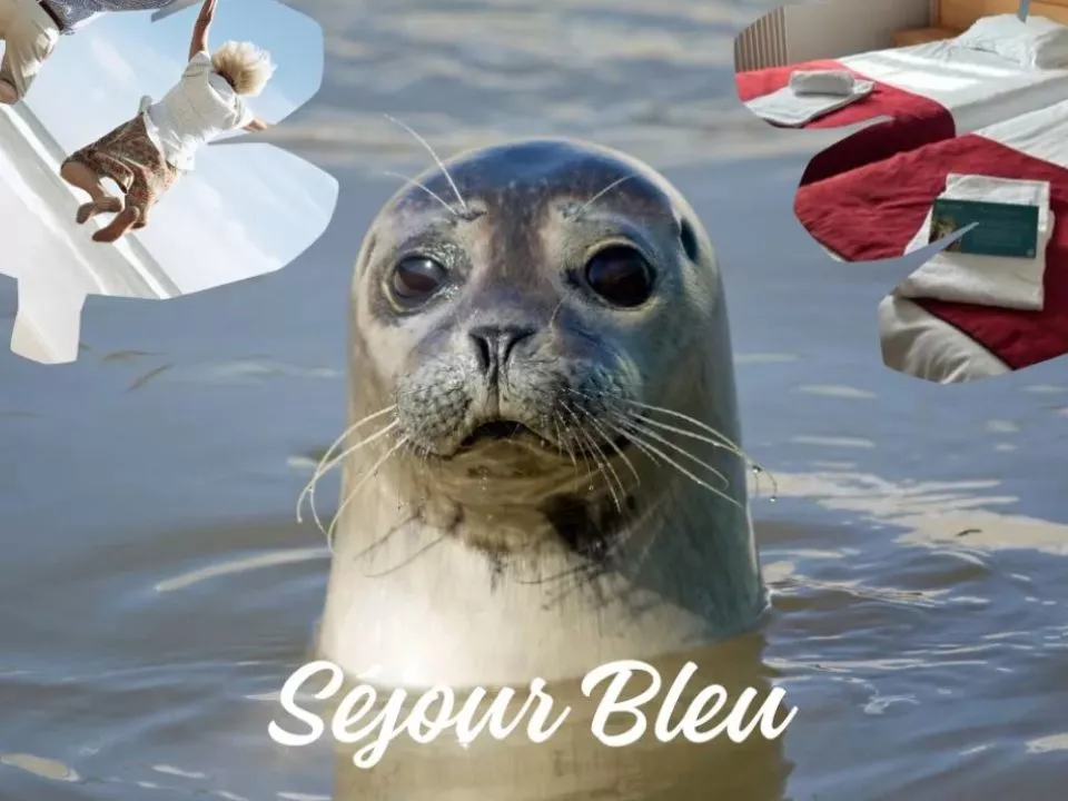 Séjours bleus – Manoir de la Canche