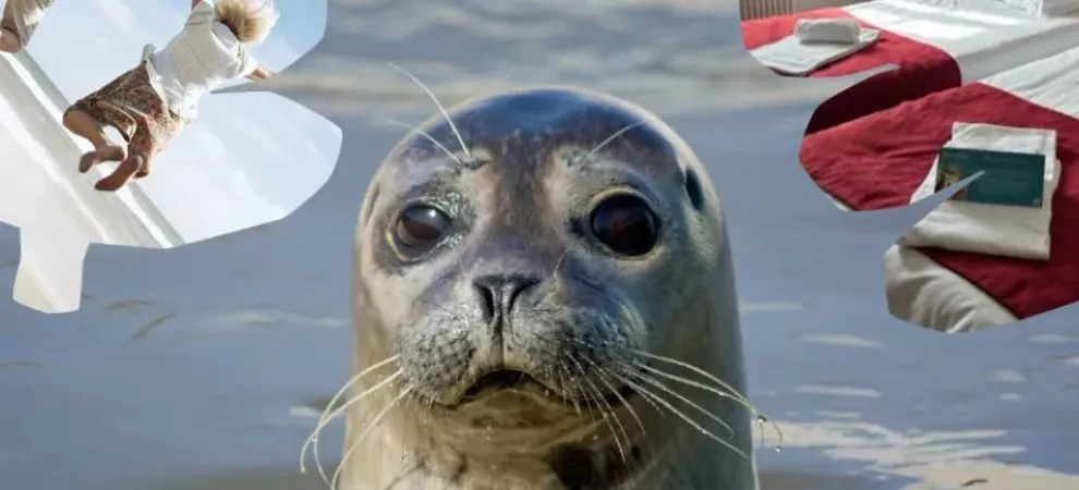Séjours bleus – Découvrez la baie de Somme