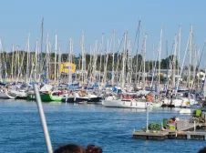 Les Beaupins *** – Groupe