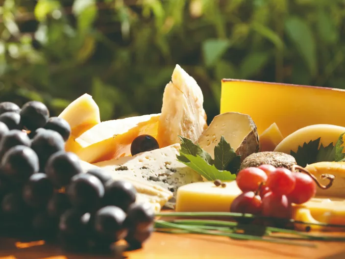 Dégustation en Auvergne