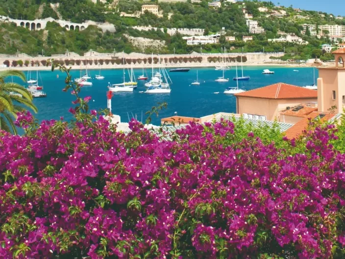 Découvrir les merveilles de la Provence