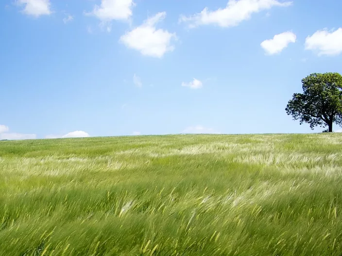 Top 10 des activités autour de nos villages vacances