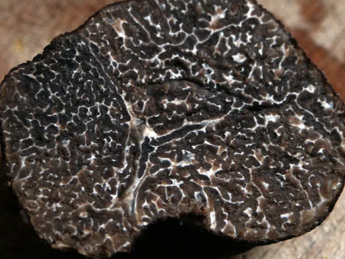 Spécialité culinaire de Sarlat