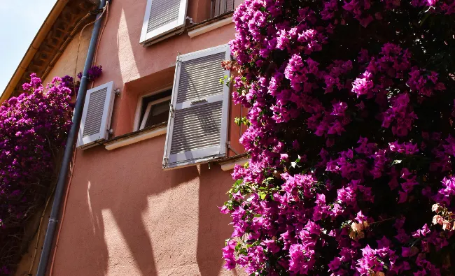 La Riviera française