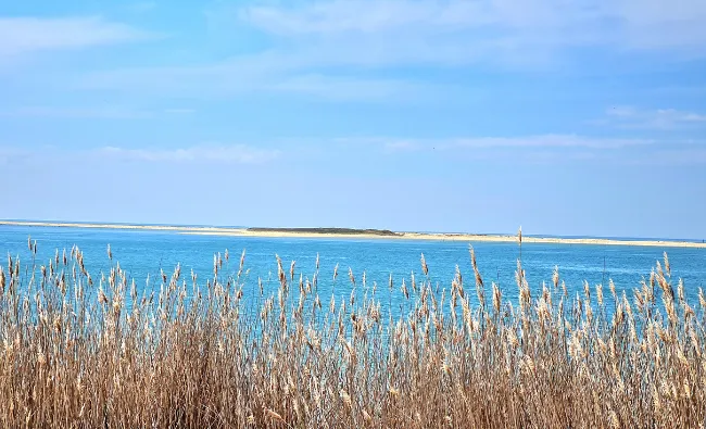 Le Bassin d’Arcachon