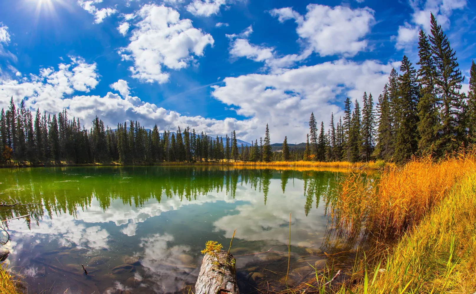 paysage de l'été indien 2025