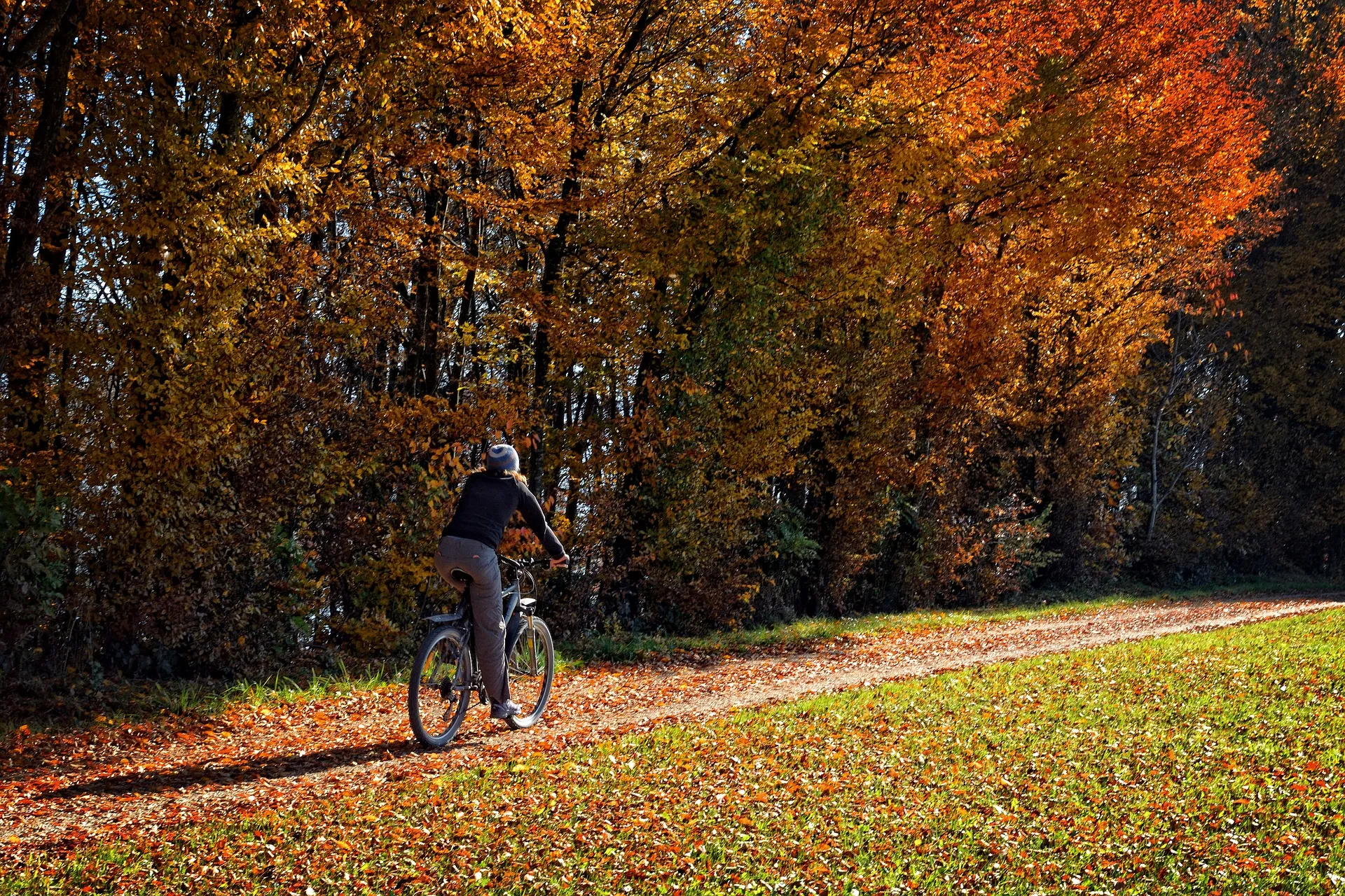 Automne et vélo