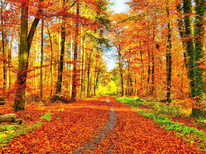 Top 4 des destinations pour les vacances de la Toussaint