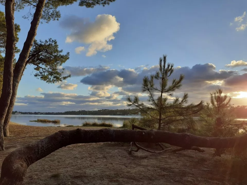 Séjours Bleus à Cap Océan Seignosse