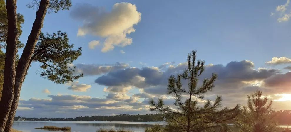 Séjours Bleus à Cap Océan Seignosse