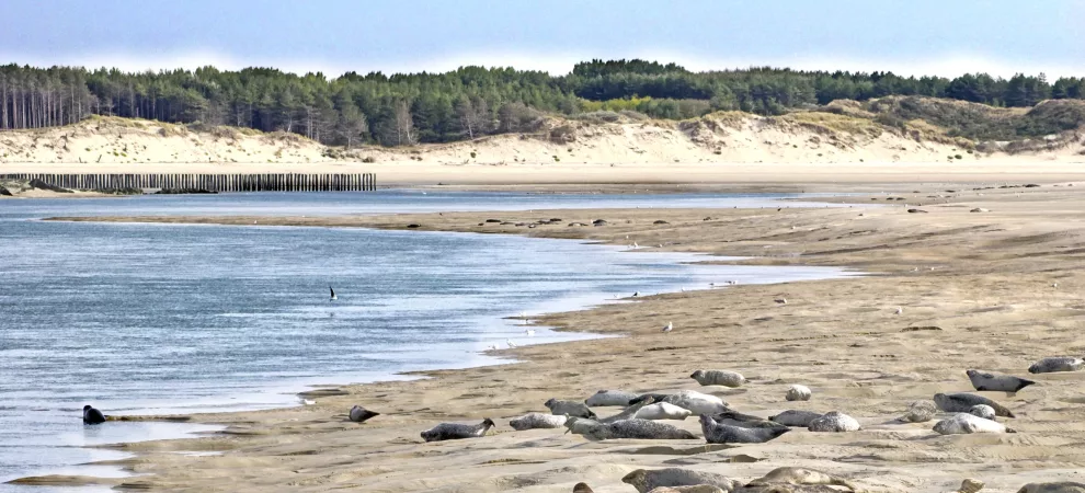 Séjours bleus au Manoir de la Canche