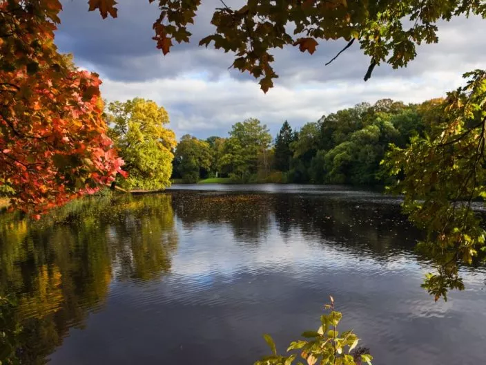 Profitez de l’été indien