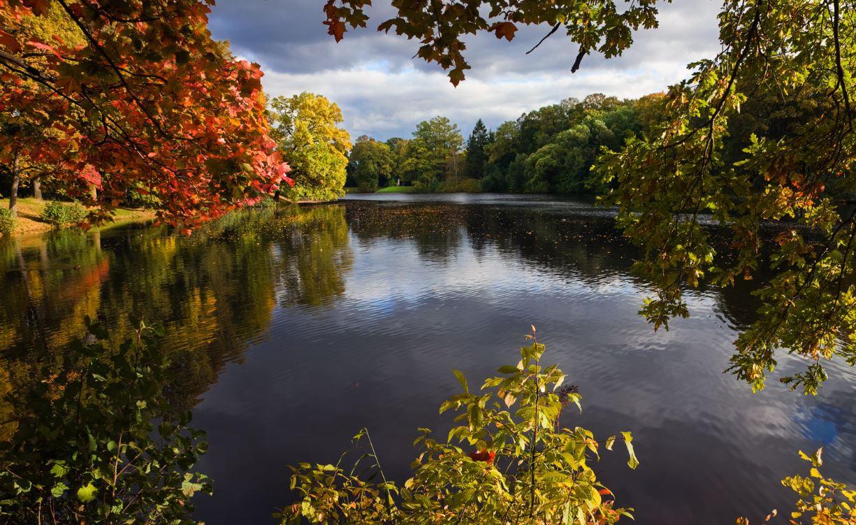 Ete Indien 2025 Ternélia