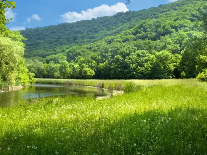 Villages vacances éco-responsables