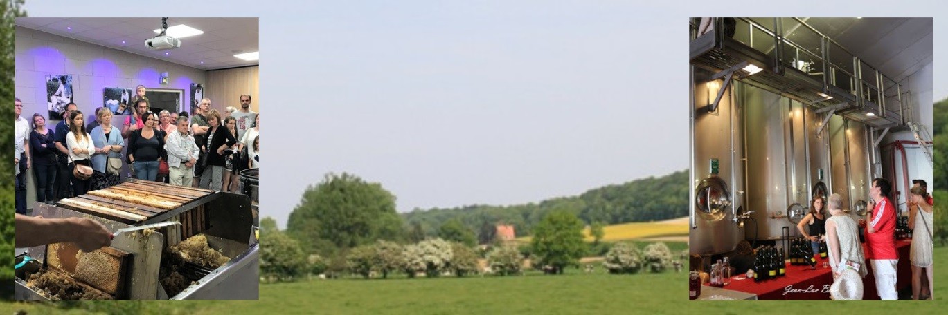  JOUR 2 : MATINEE DECOUVERTE- LA PLANQUETTE